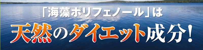 �y�}���`�|���t�F�m�[���z�������p�b�N���T�C�g